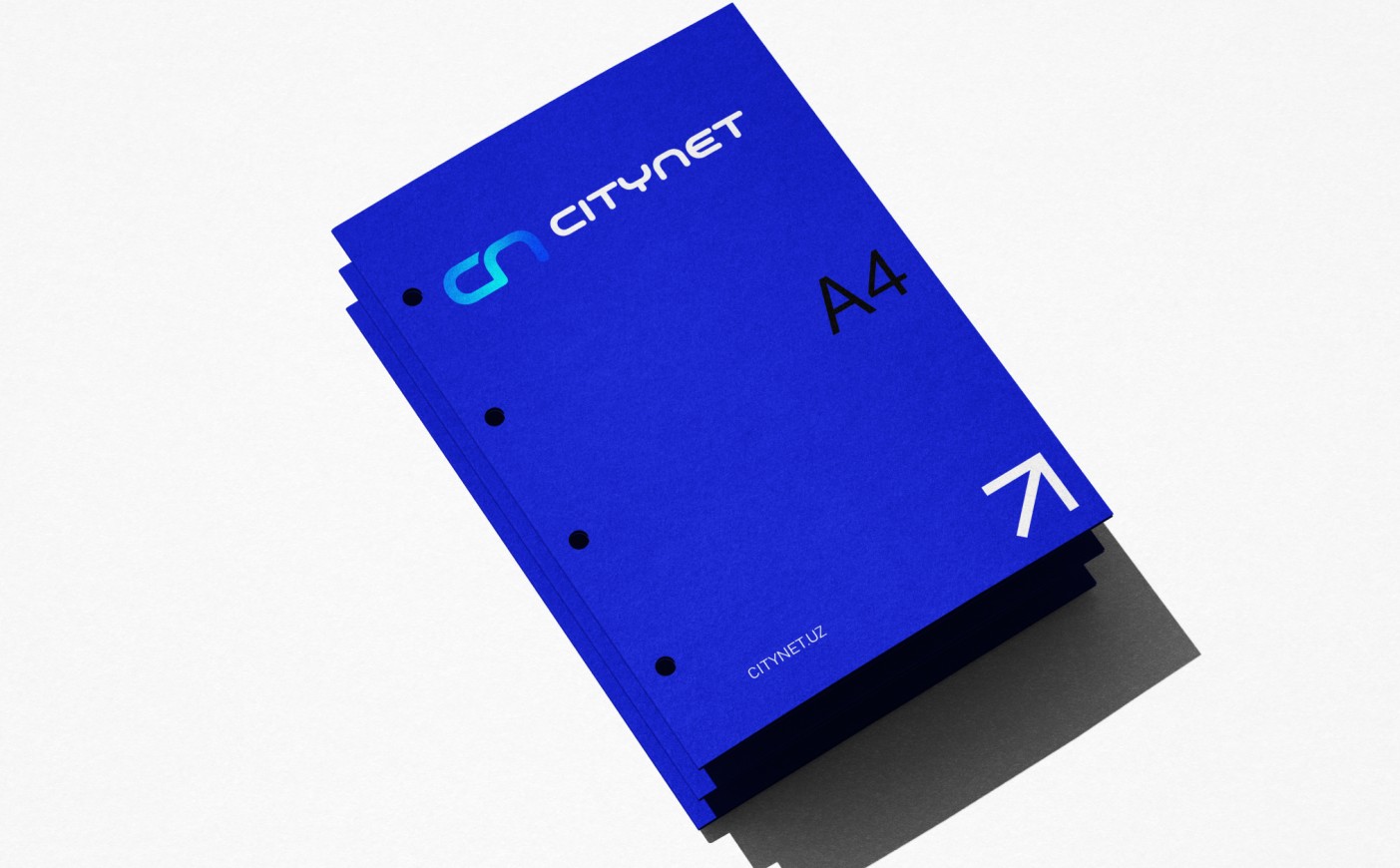 CITY NET