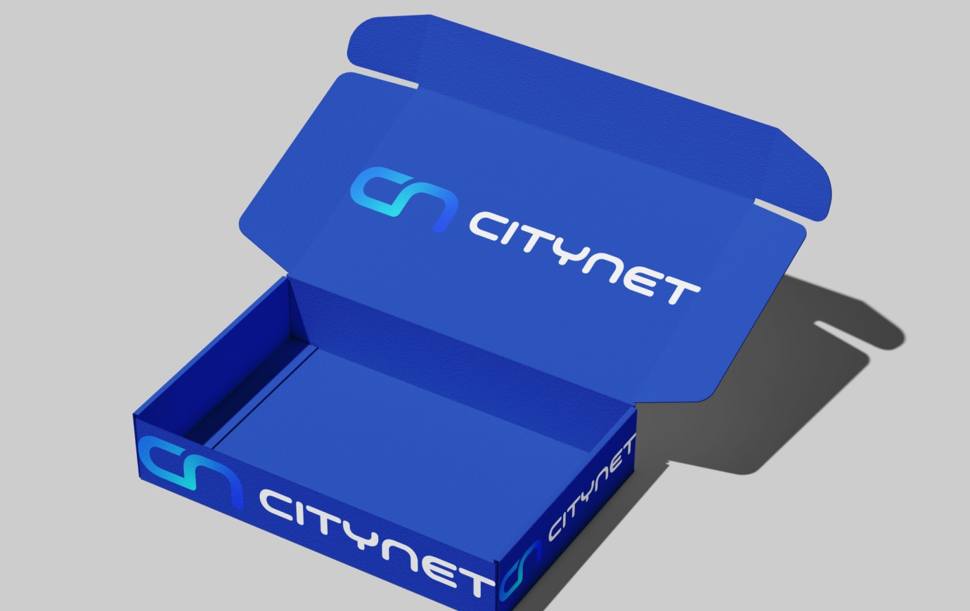 CITY NET