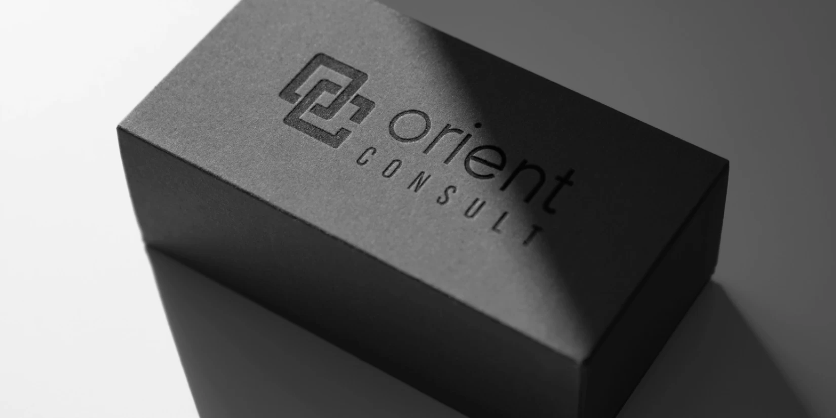 ORIENT CONSULT